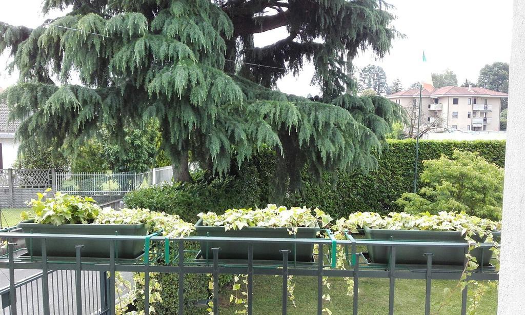Affittacamere Giudici Lentate sul Seveso Exterior photo